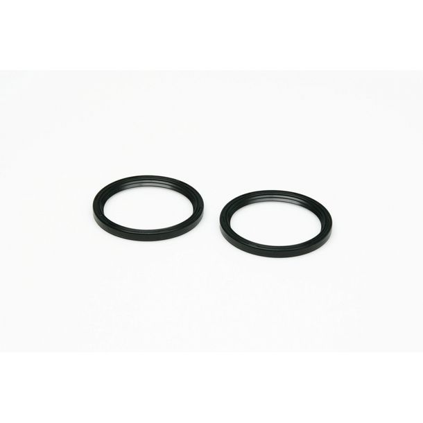 Wellendichtring Malossi Ø 48x41x4mm, 2 Stück