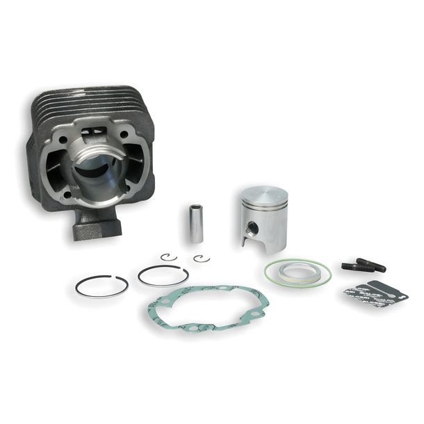 Zylinder Malossi 50ccm Grauguß AC für Peugeot stehend, Peugeot Speedfight 2 AC 307 WRC Vivacity 1 SV GEO Elyseo Elystar Buxy Speedake Squab Metal-X Zenith
