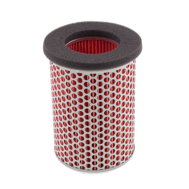 Champion V313/301 luchtfilter