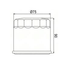 Ölfilter Champion F118 für Piaggio Porter Diesel 1200/1400 1995-2000