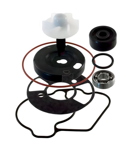 Kit di riparazione pompa acqua RMS ingranaggio trasmissione pompa acqua per Yamaha Xenter 125-150cc anno 2012/2014