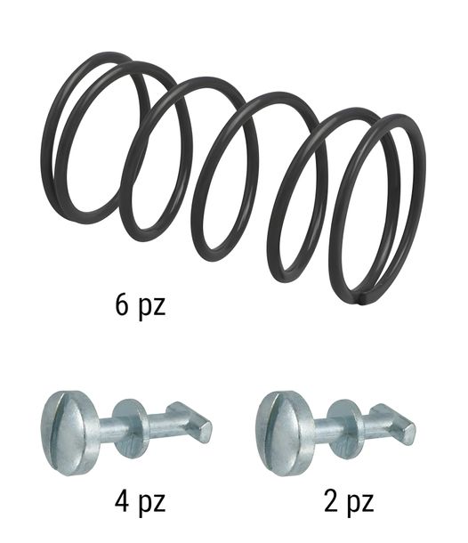 Juego de tornillos RMS incl. resortes para cubierta lateral, 2x cortos, 4x largos, 6x muelles