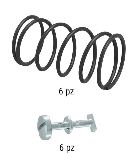 Set di viti RMS incl. molle per coperchi laterali, 6x viti, 6x molle