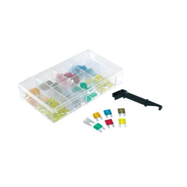 Mini Sicherungen RMS Sicherungset, 100 Stück