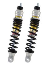 Coppia ammortizzatori YSS TE302-290T-02AL