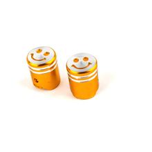 Valve caps Piston / Cylinder piston STR8