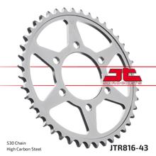 JT Sprockets 530 43Z tandwiel binnendiameter 76 mm boutcirkel 100 mm voor Suzuki GSF Bandit N S RF GS GSX-R K.L.M.N GSX F W P.R Inazuma 400 - 1200 cc bouwjaar 1973 - 2005