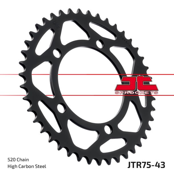 Piñón JT Sprockets 520 43Z, diámetro interior 110 mm, círculo de perno 130,8 mm para BMW S R RR XR 1000 ccm Año 2009 - 2018