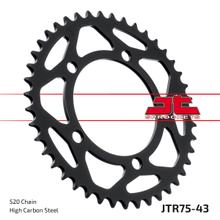 Coroa JT Sprockets 520 43Z diâmetro interno 110mm círculo de furação 130,8mm para BMW S R RR XR 1000 ccm ano 2009 - 2018