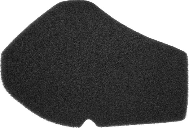 Luftfilter Nypso für Suzuki Burgman 125-150ccm 2002/2006