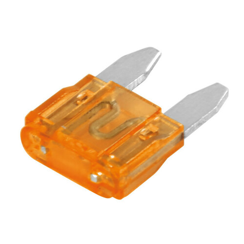Set de 100 Fusibles à Micro-Lames, 12/32V