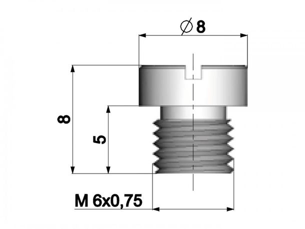 Vergaser Hauptdüse Polini 6mm für Dellorto Vergaser