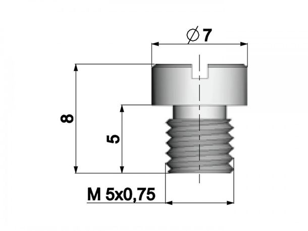 Carburetor main jet Polini 5mm for Dellorto carburetors