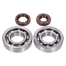 Kurbelwellenlager Satz Naraku SKF, FKM Premium C3 für Honda X8R