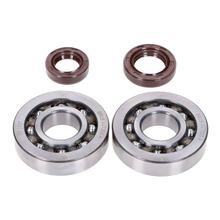 Kurbelwellenlager Satz Naraku SKF, FKM Premium C4 Polyamid für Kymco, SYM stehend