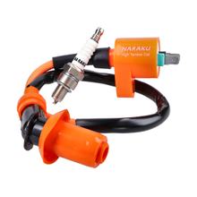 Naraku Ignition Upgrade Kit Ignition Coil and Iridium Spark Plug for GY6 139QMB