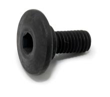 TBEI Schraube Aprilia, M5x9 mm, AP8150500 für Aprilia RX, Derbi Senda R X-Treme RS4 Gilera RCR RS ABS Tuono V4 RR Atlantic Sprint 0 i.e. RSV APRC DRD