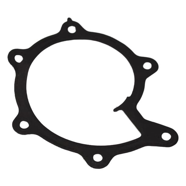 Dichtring Piaggio Dichtung Wasserpumpe für GP 800, B018029