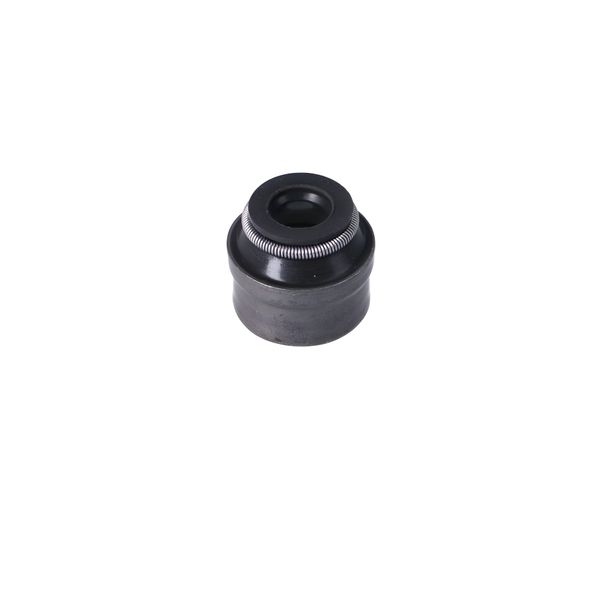 Piaggio Valve Stem Seal for Leader, 436438