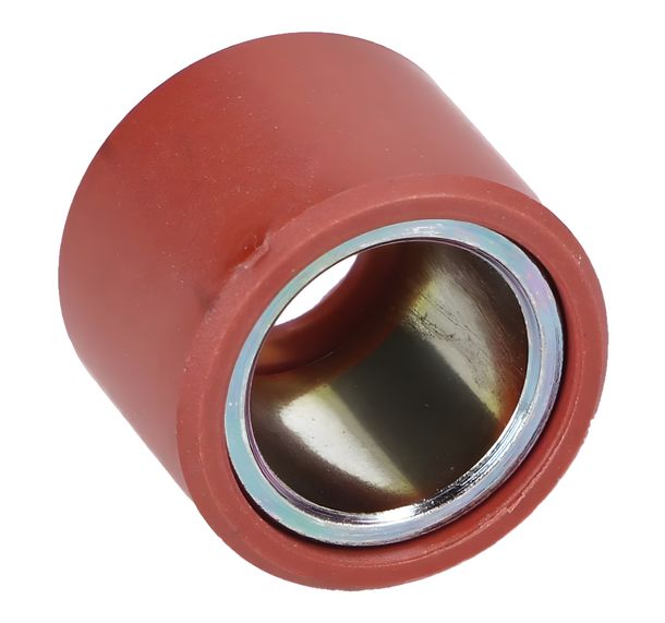 Variatorrolle Piaggio Variomatikgewicht, 21x17 mm, 13,0 g, 849480 für Vespa GTS i.e. Touring 4V HPE Yacht Club Super Sei Giorni, Gilera Nexus Aprilia