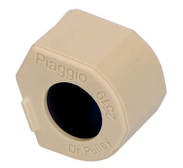 Variatorrolle Piaggio Variomatikgewicht, 25x19 mm, 19,0 g für GP 800, 877514