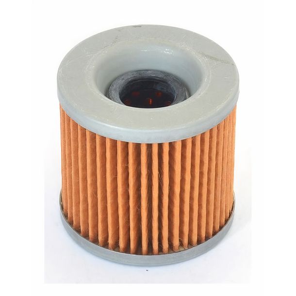 Ölfilter Athena für Kawasaki 250-305 78-97, 160971002 / HF125