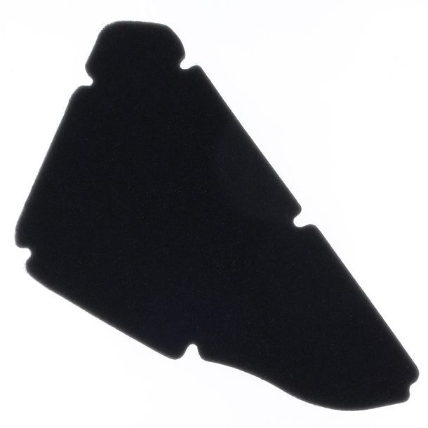 Luftfilter Luftfiltereinsatz Athena für Gilera Runner 50, Stalker 50 / Piaggio NRG MC3 50, NRG Purejet 50